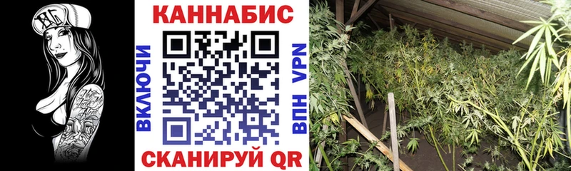 Купить наркотик аптеки Апрелевка Альфа ПВП  Псилоцибиновые грибы  Конопля 