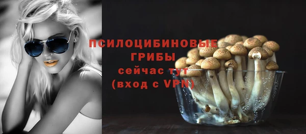 бутират Надым