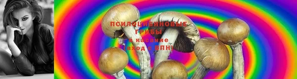 бутират Надым