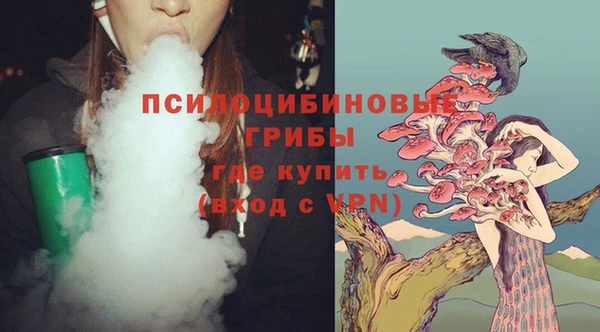винт Наволоки