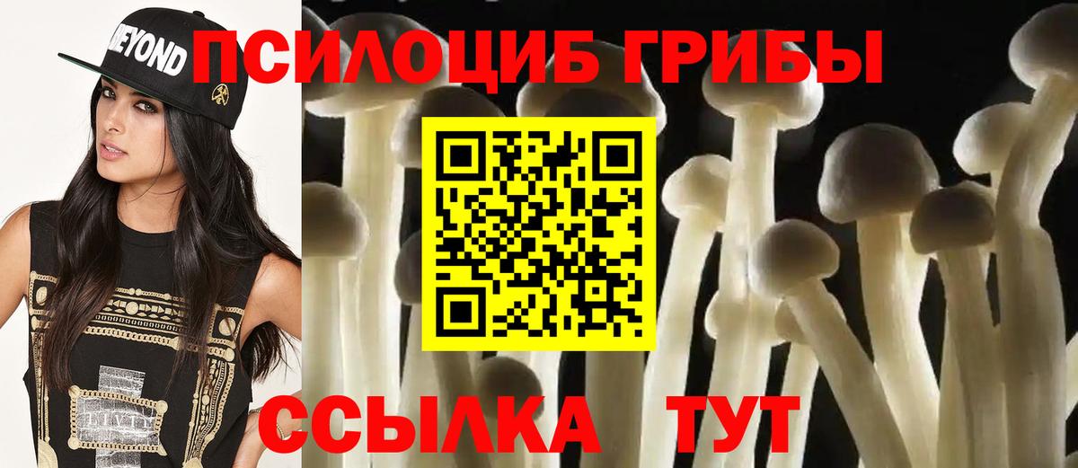 Галлюциногенные грибы MAGIC MUSHROOMS Апрелевка