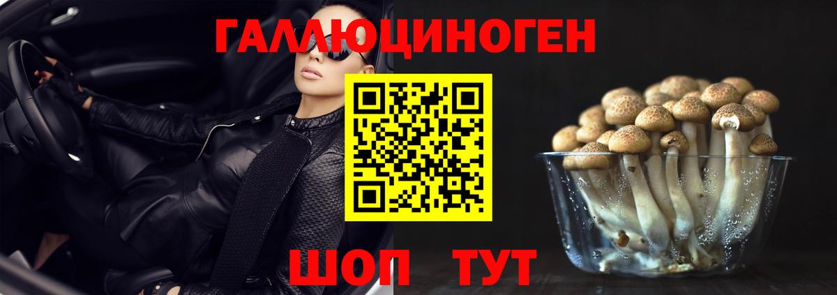 Галлюциногенные грибы Psilocybine cubensis  Апрелевка 